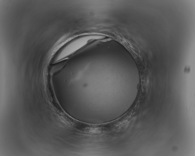 X0000097830295200803281207