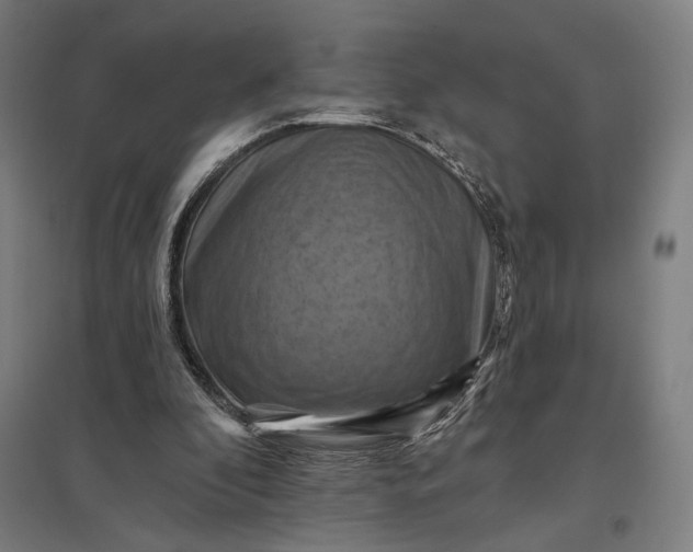 X0000097830296200803281207