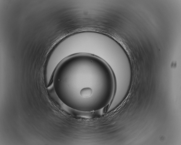 X0000097830297200803281207