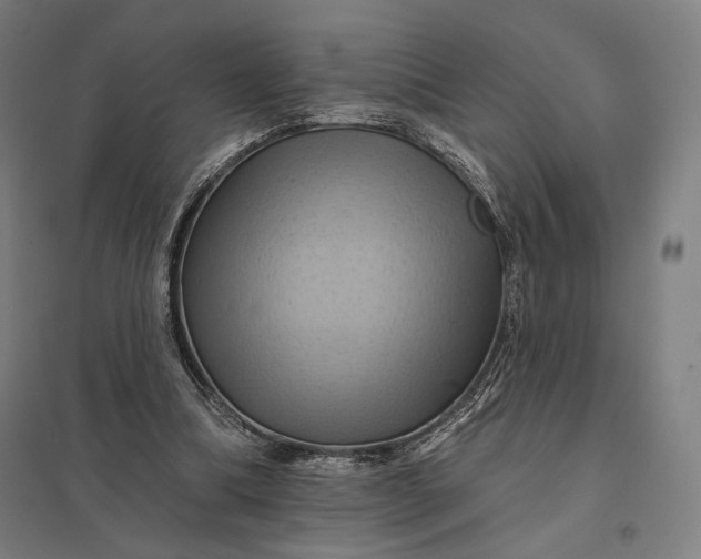 X0000097830298200803281207