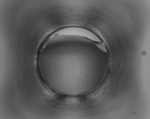 X0000097830299200803281207