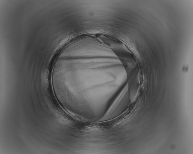 X0000097830300200803281207