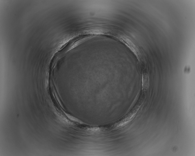 X0000097830301200803281207