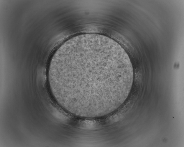 X0000097830302200803281207