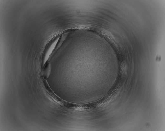 X0000097830303200803281207