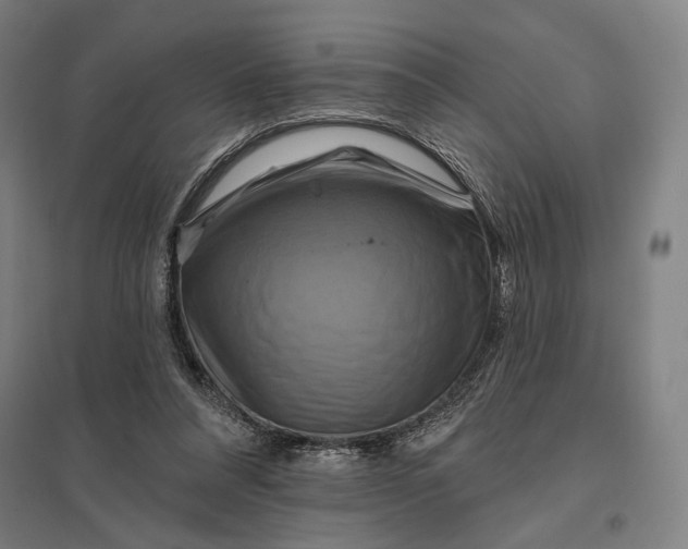 X0000097830304200803281207