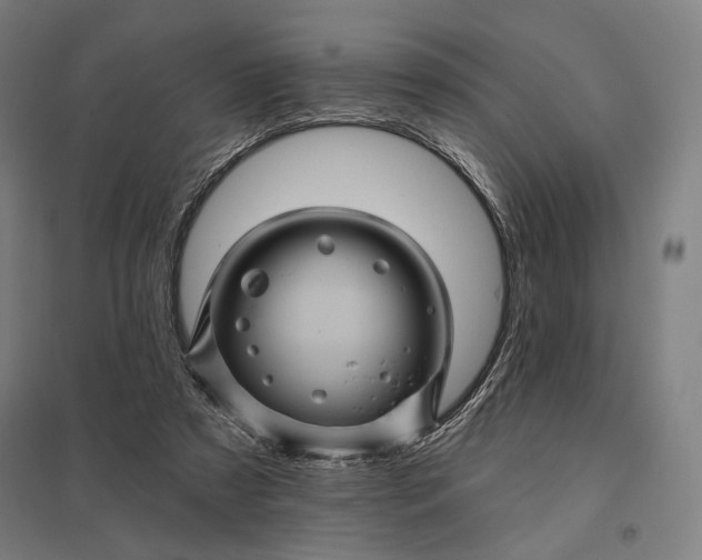 X0000097830305200803281207