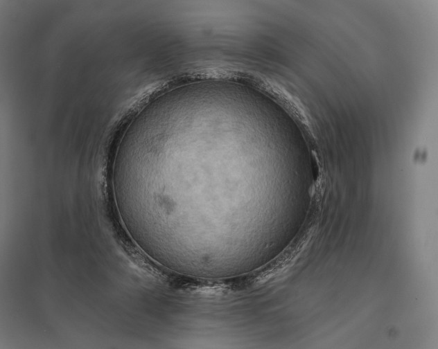 X0000097830306200803281207