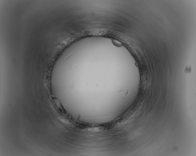 X0000097830307200803281206