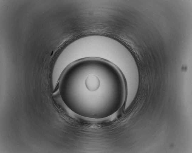 X0000097830308200803281206