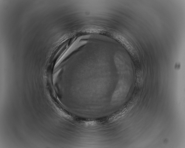 X0000097830309200803281206