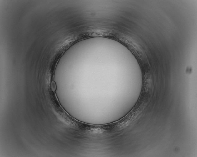 X0000097830310200803281206