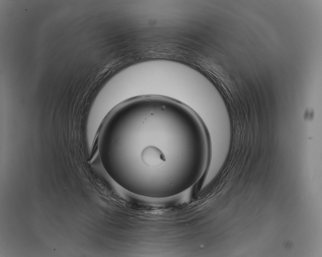 X0000097830312200803281206