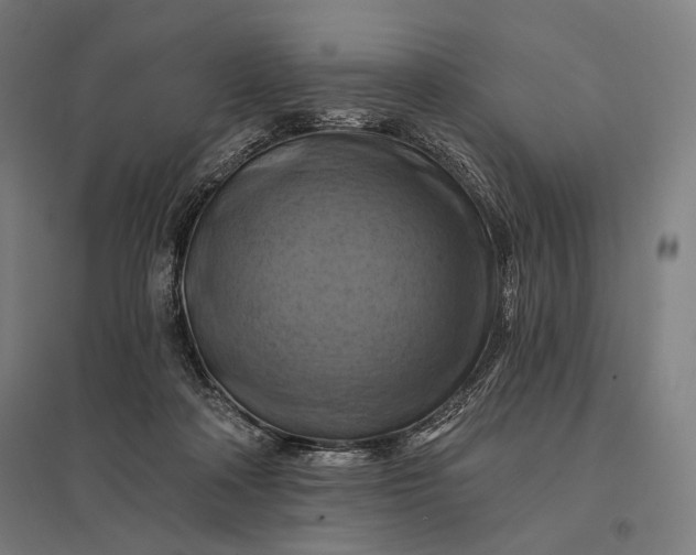 X0000097830314200803281206