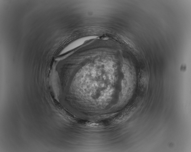 X0000097830315200803281206