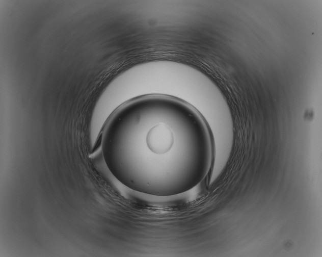 X0000097830316200803281206