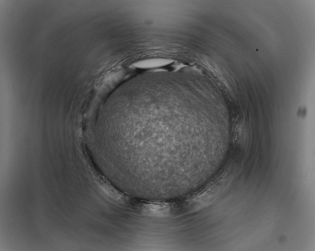 X0000097830317200803281206