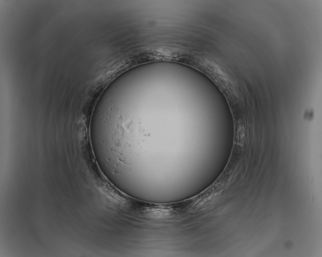 X0000097830318200803281206