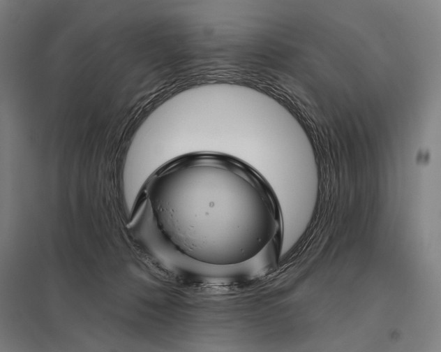 X0000097830320200803281206