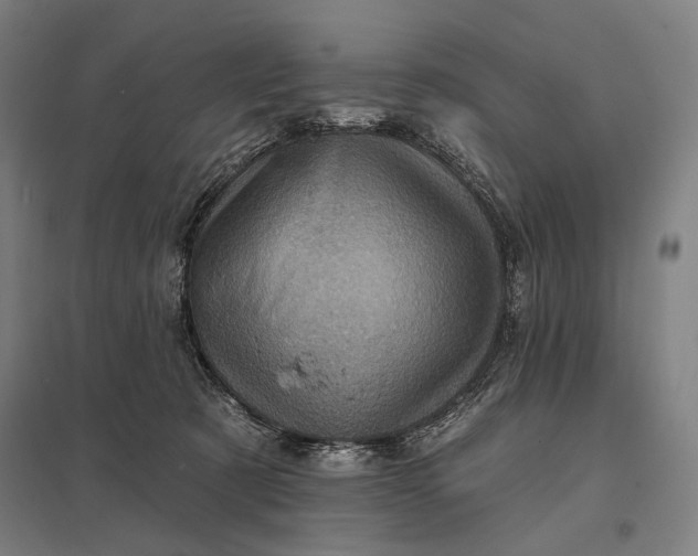 X0000097830321200803281206