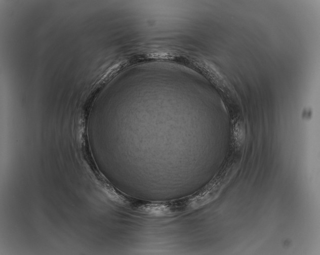 X0000097830322200803281206