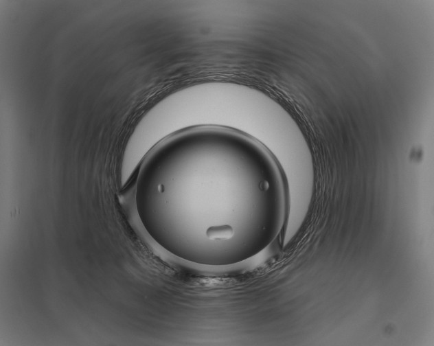 X0000097830323200803281206