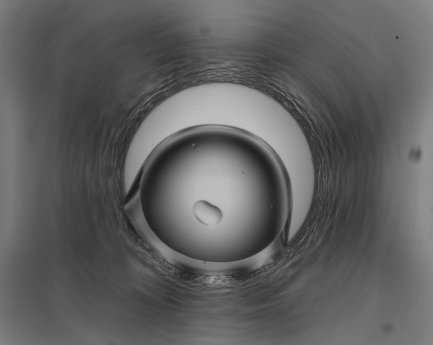 X0000097830324200803281206