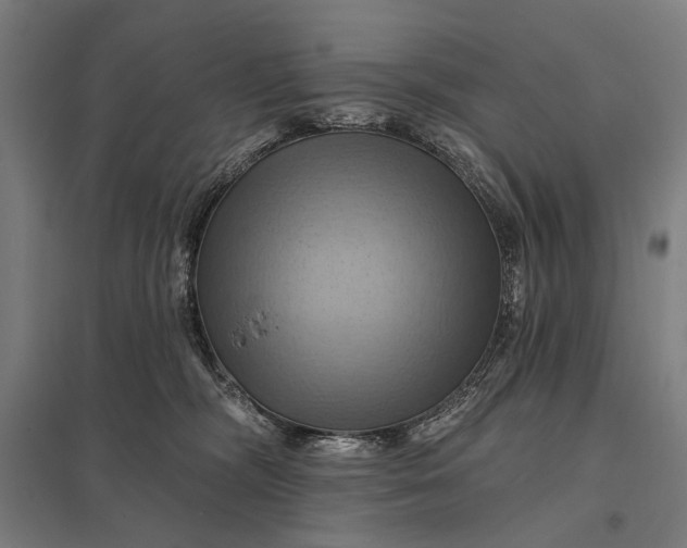 X0000097830326200803281206