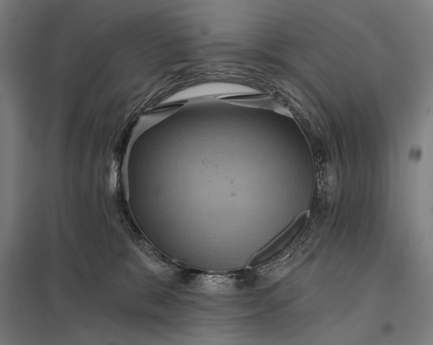 X0000097830327200803281206