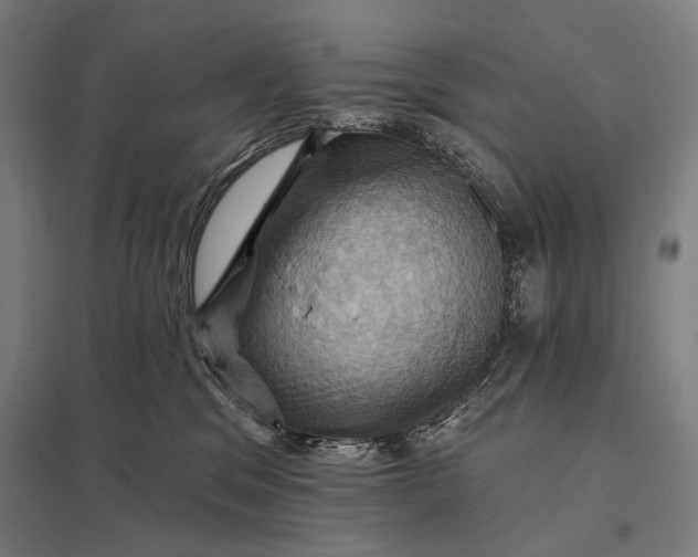 X0000097830329200803281206