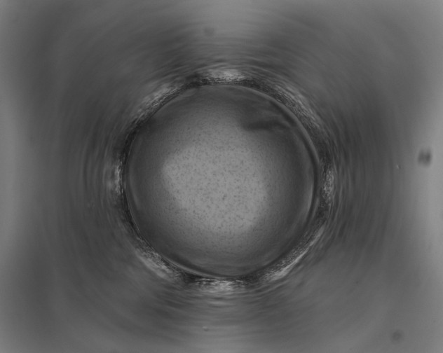 X0000097830330200803281206