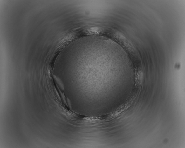 X0000097830331200803281206