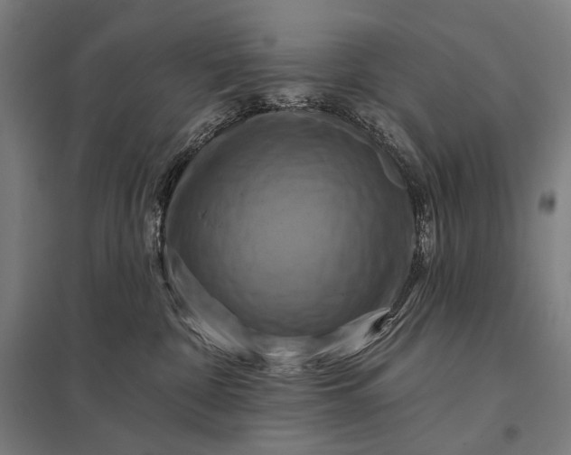 X0000097830332200803281206