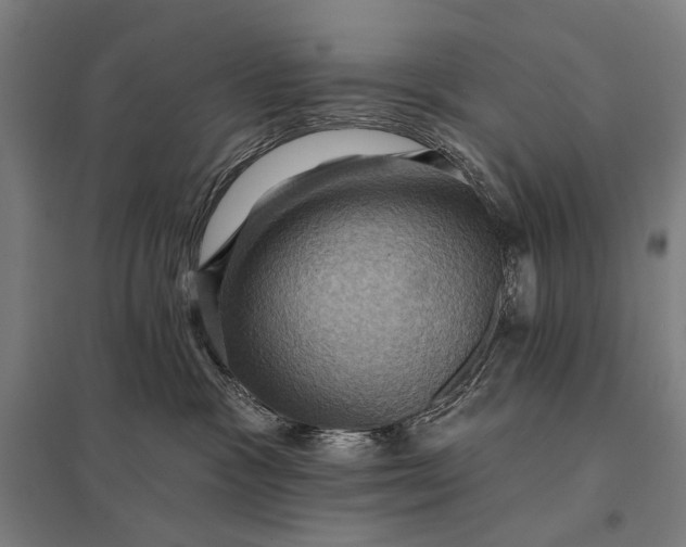 X0000097830333200803281206