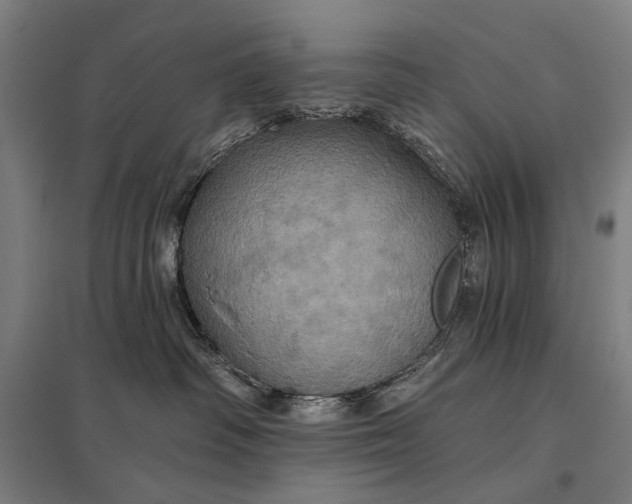 X0000097830334200803281206