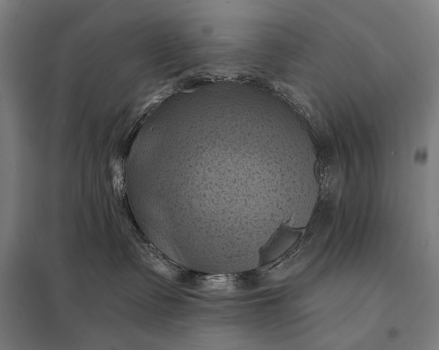 X0000097830335200803281206