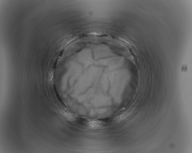 X0000097830336200803281206