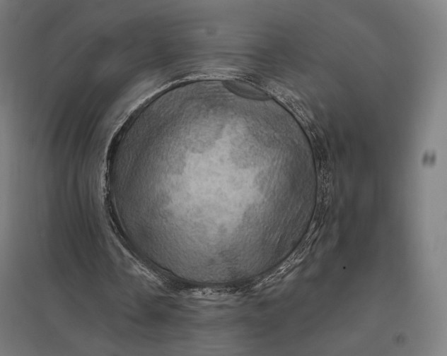 X0000097830338200803281205