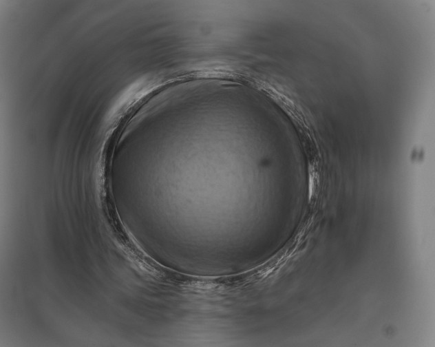 X0000097830339200803281205