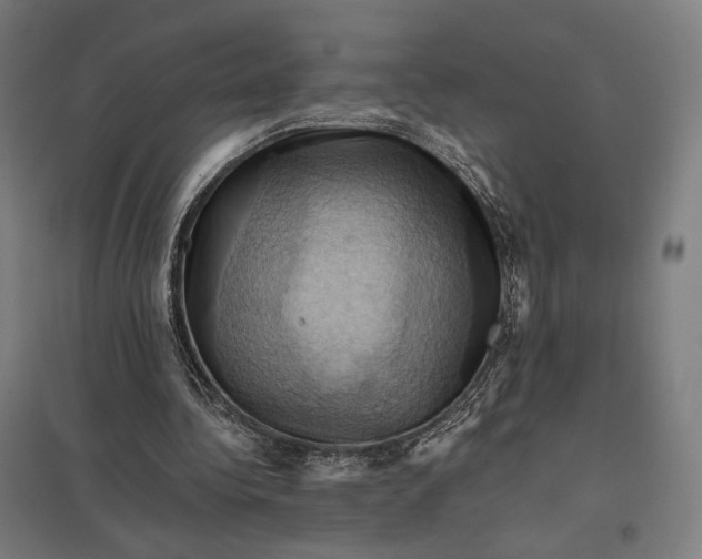 X0000097830340200803281205