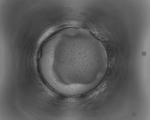 X0000097830341200803281205