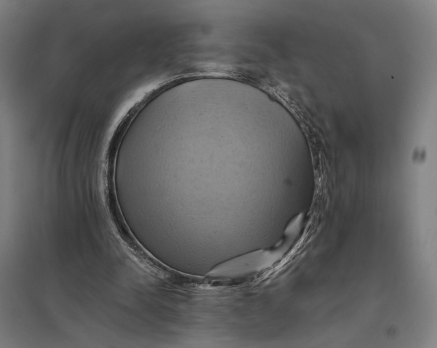 X0000097830342200803281205