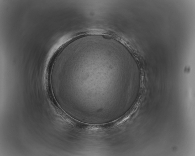 X0000097830343200803281205