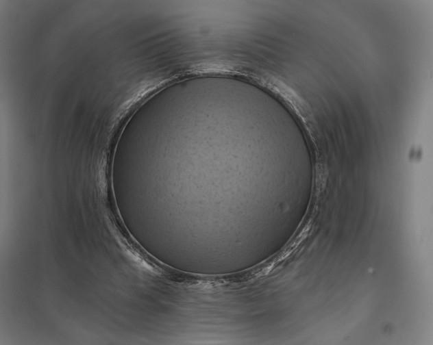 X0000097830345200803281205