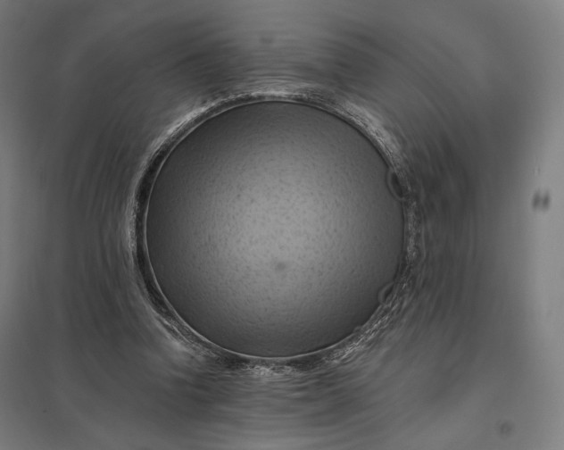 X0000097830346200803281205