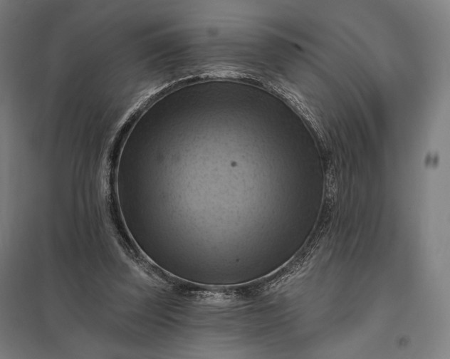 X0000097830347200803281205