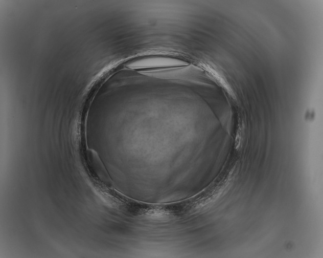 X0000097830348200803281205