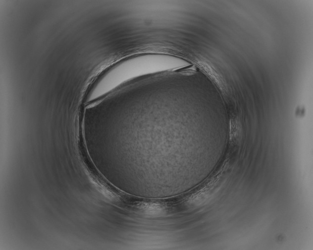 X0000097830349200803281205