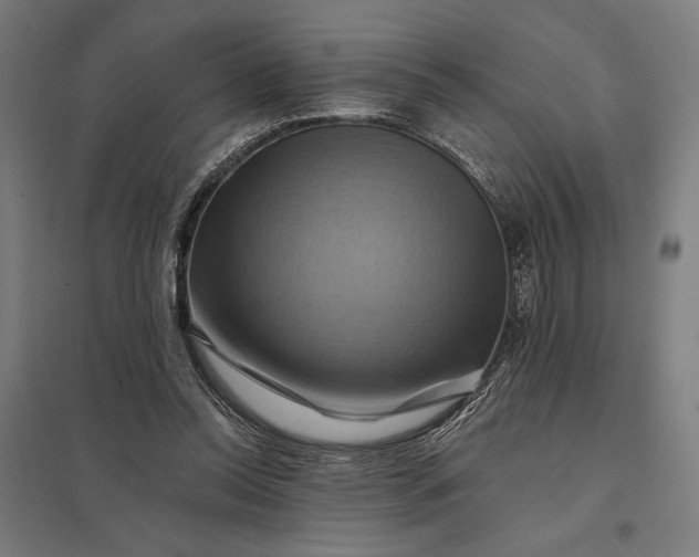 X0000097830350200803281205