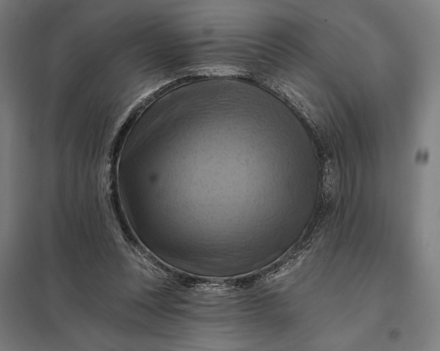 X0000097830351200803281205